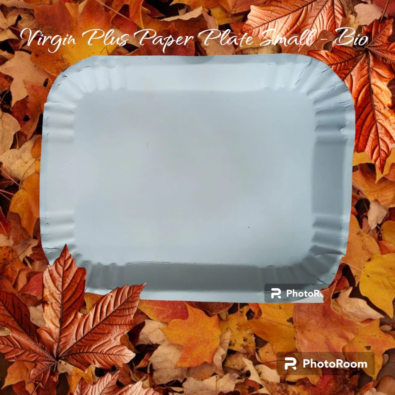 Virgin Plus paper Plate Small - Bio